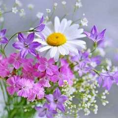 Шагиева Гузель Фоатовна