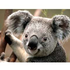 Леженникова Елена Сергеевна