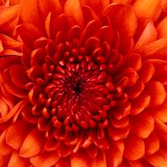 Татьяна Борисовна Наумова