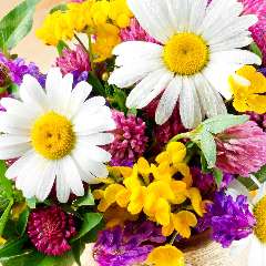 Долженкова Мария Михайловна