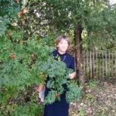 Варенникова Марина Петровна