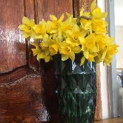 Песчанская Ирина Алексеевна 