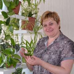 Слабышева Лина Анатольевна