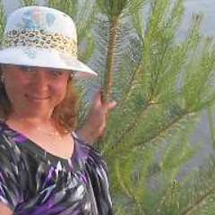 Киселева  Ольга Михайловна