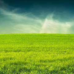 Зырянов Владимир Александрович