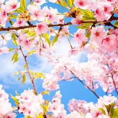 Асылбаева Наталья Николаевна