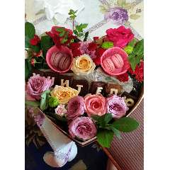 Михайленко Юлия Сергеевна