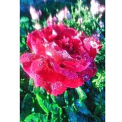 Галимова Любовь Ильична 