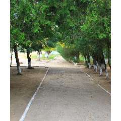 Змеёк Елена Викторовна