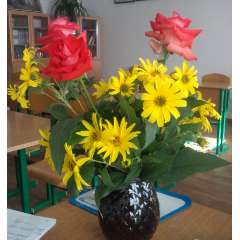 Ахмедова Патимат Газимагомедовна