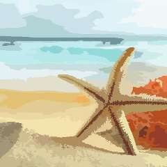 Комарова Александра Вадимовна