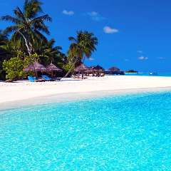 Гаврилюк Ольга Владимировна