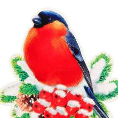 Торопова Юлия Николаевна