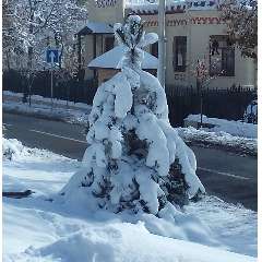 Абузярова Ольга Михайловна