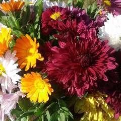 Азизова Бесханум Шахбановна