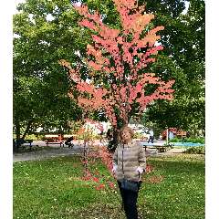 Орлова Дина Ивановна