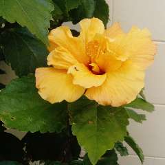 Васильева Татьяна Вячеславовна