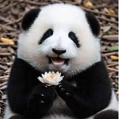 Середина Дарья Александровна