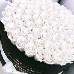 Бекетова Ирина Александровна