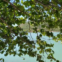 Злобина Ольга Юрьевна