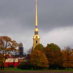 Александрова Надежда Геннадьевна