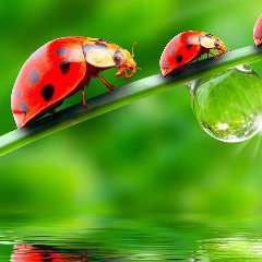 Суетина Анастасия Анатольевна