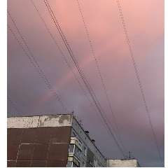 Працюк Никита Сергеевич