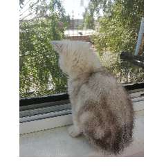 Наталья Николаевна Бухарова