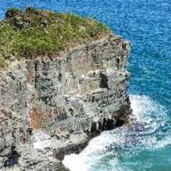 Новосельцева  Евгения  Николаевна