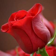 Вера Михайловна Иванова