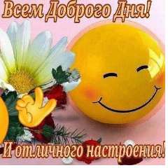 ДАММ ОЛЬГА МИХАЙЛОВНА