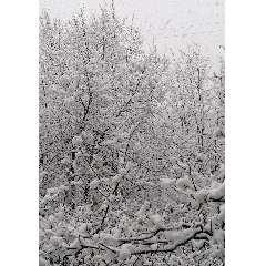 Ипатова Татьяна Александровна 