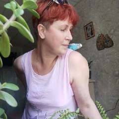 Дилевская Татьяна Алексеевна