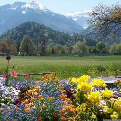 Мизюра Анна