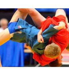 Левин Николай Николаевич