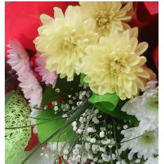 Приходько Елена Геннадьевна