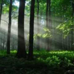 Обручкова Зинаида Петровна