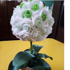 Харланова Наталья Николаевна