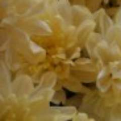 Неговора Ирина Александровна