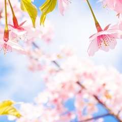 Асылбаева Наталья николаевна