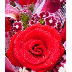 Иванова Наталья Николаевна