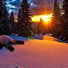 Фахретдинова Елена Александровна