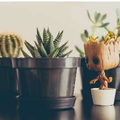 Морозова Виктория Витальевна