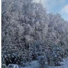 Гайдарова Надежда Васильевна