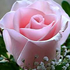 Гайсина Люция Шарифулловна