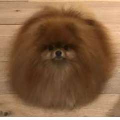 Сипайло Татьяна