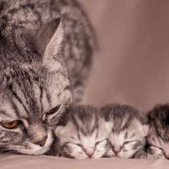 Бернюкова Ольга Александровна