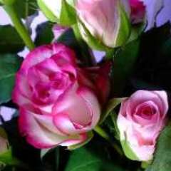 Скида Светлана Николаевна