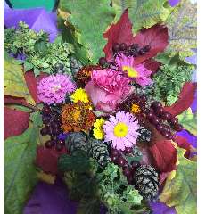 Ночевнова Валентина Тарасовна