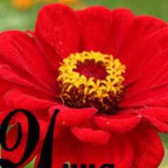 Ефимова Инна Геннадьевна